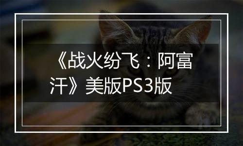 《战火纷飞：阿富汗》美版PS3版