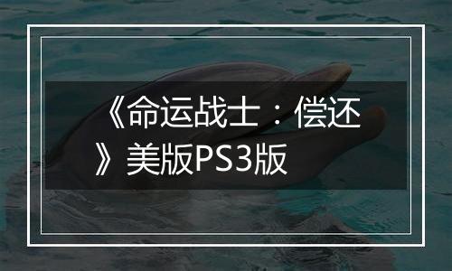 《命运战士：偿还》美版PS3版