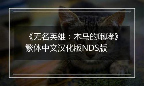 《无名英雄：木马的咆哮》繁体中文汉化版NDS版