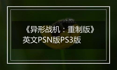 《异形战机：重制版》英文PSN版PS3版