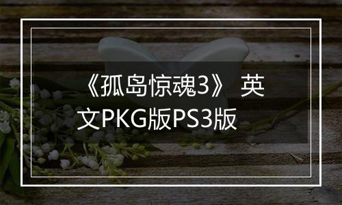 《孤岛惊魂3》 英文PKG版PS3版