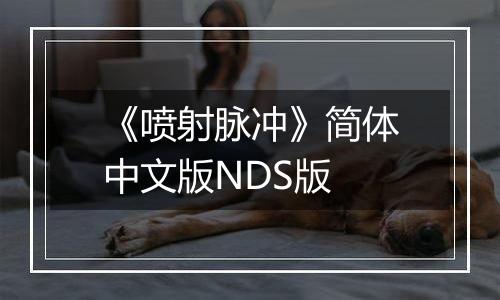 《喷射脉冲》简体中文版NDS版