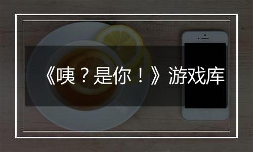 《咦？是你！》游戏库