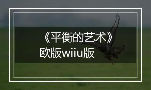 《平衡的艺术》欧版wiiu版