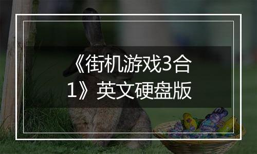 《街机游戏3合1》英文硬盘版