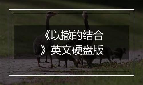 《以撒的结合》英文硬盘版