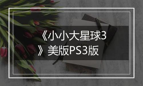 《小小大星球3》美版PS3版
