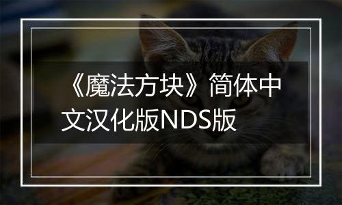 《魔法方块》简体中文汉化版NDS版