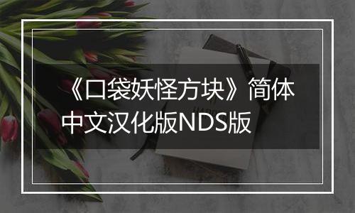 《口袋妖怪方块》简体中文汉化版NDS版