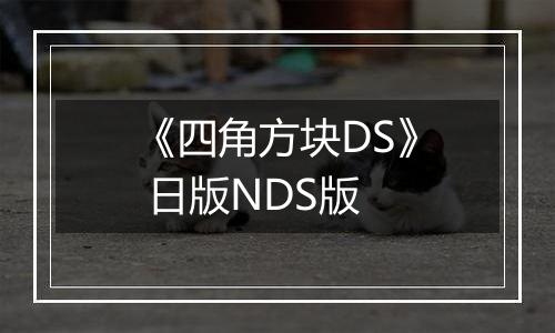 《四角方块DS》 日版NDS版