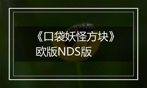 《口袋妖怪方块》 欧版NDS版
