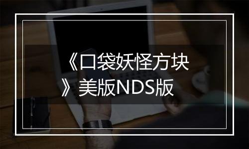 《口袋妖怪方块》美版NDS版