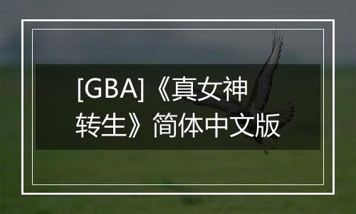 [GBA]《真女神转生》简体中文版