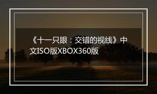 《十一只眼：交错的视线》中文ISO版XBOX360版