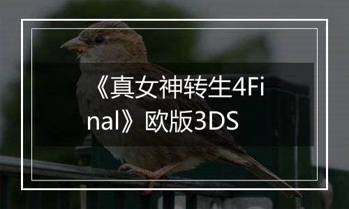 《真女神转生4Final》欧版3DS