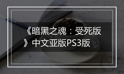 《暗黑之魂：受死版》中文亚版PS3版