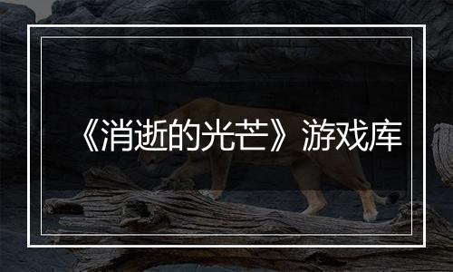 《消逝的光芒》游戏库