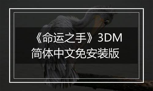 《命运之手》3DM简体中文免安装版