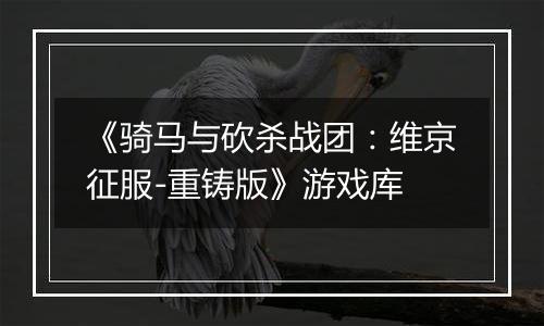 《骑马与砍杀战团：维京征服-重铸版》游戏库