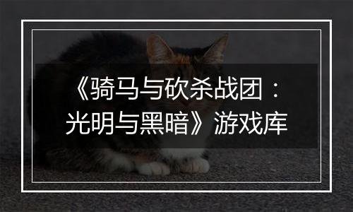 《骑马与砍杀战团：光明与黑暗》游戏库