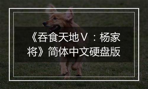 《吞食天地Ⅴ：杨家将》简体中文硬盘版