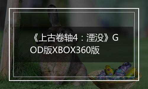 《上古卷轴4：湮没》GOD版XBOX360版