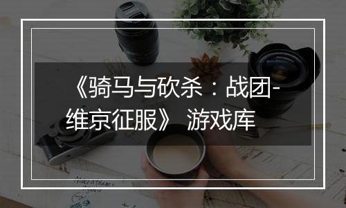 《骑马与砍杀：战团-维京征服》 游戏库