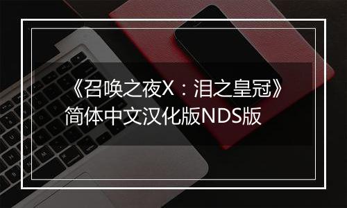 《召唤之夜X：泪之皇冠》简体中文汉化版NDS版