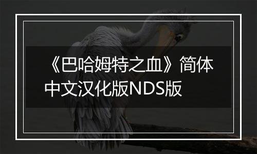 《巴哈姆特之血》简体中文汉化版NDS版