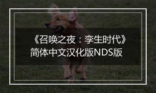 《召唤之夜：孪生时代》简体中文汉化版NDS版