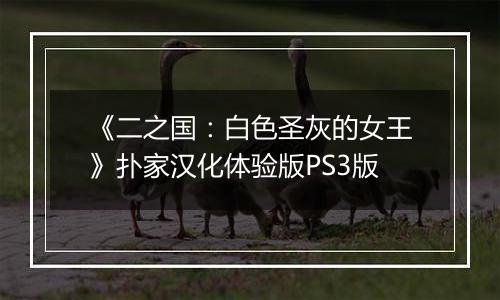 《二之国：白色圣灰的女王》扑家汉化体验版PS3版