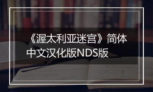 《渥太利亚迷宫》简体中文汉化版NDS版