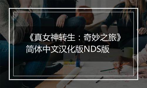 《真女神转生：奇妙之旅》简体中文汉化版NDS版