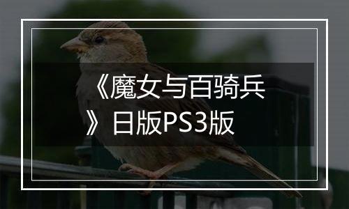 《魔女与百骑兵》日版PS3版