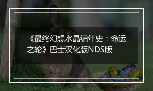 《最终幻想水晶编年史：命运之轮》巴士汉化版NDS版