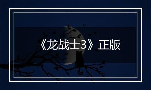 《龙战士3》正版