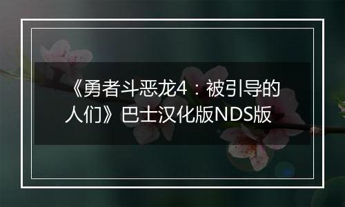 《勇者斗恶龙4：被引导的人们》巴士汉化版NDS版