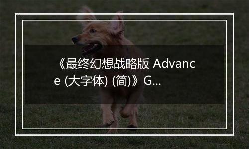 《最终幻想战略版 Advance (大字体) (简)》GBA ROM 中文版