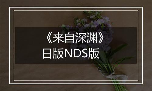 《来自深渊》 日版NDS版