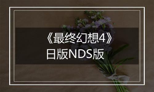 《最终幻想4》 日版NDS版