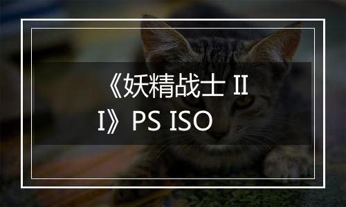 《妖精战士 III》PS ISO