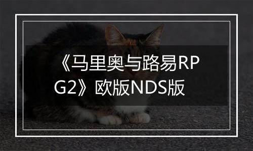 《马里奥与路易RPG2》欧版NDS版