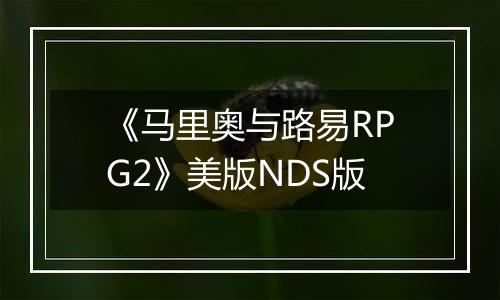 《马里奥与路易RPG2》美版NDS版