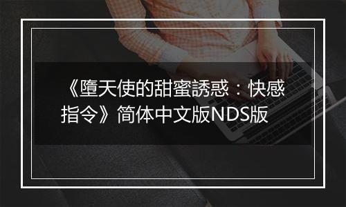 《墮天使的甜蜜誘惑：快感指令》简体中文版NDS版