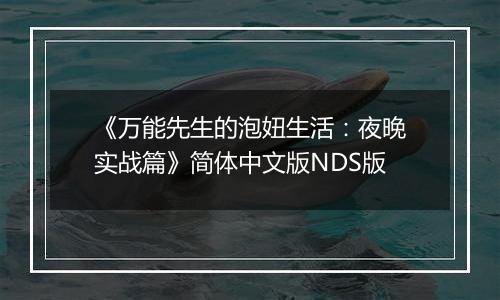 《万能先生的泡妞生活：夜晚实战篇》简体中文版NDS版