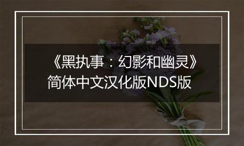 《黑执事：幻影和幽灵》简体中文汉化版NDS版