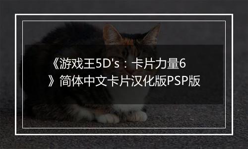 《游戏王5D's：卡片力量6》简体中文卡片汉化版PSP版