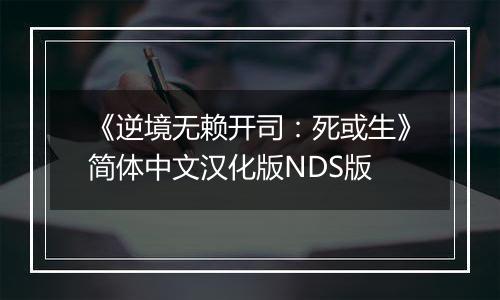 《逆境无赖开司：死或生》简体中文汉化版NDS版