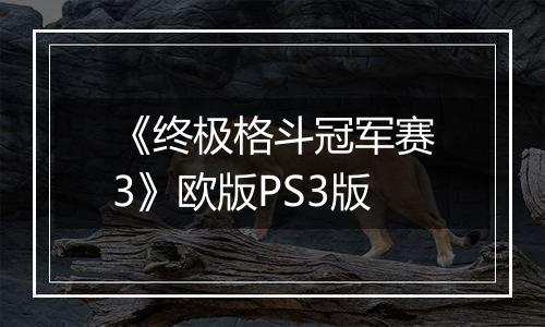 《终极格斗冠军赛3》欧版PS3版