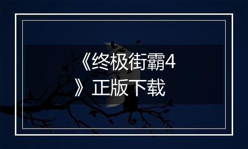 《终极街霸4》正版下载